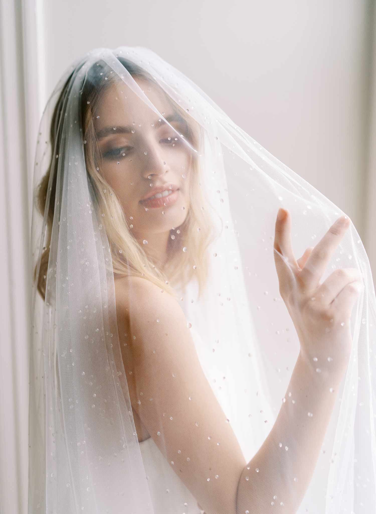 clear droplet white tulle bridal veil with blusher, twigs & honey