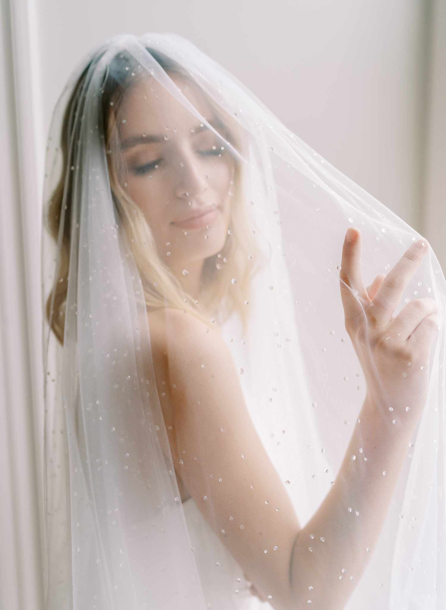 clear droplet white tulle bridal veil with blusher, twigs & honey