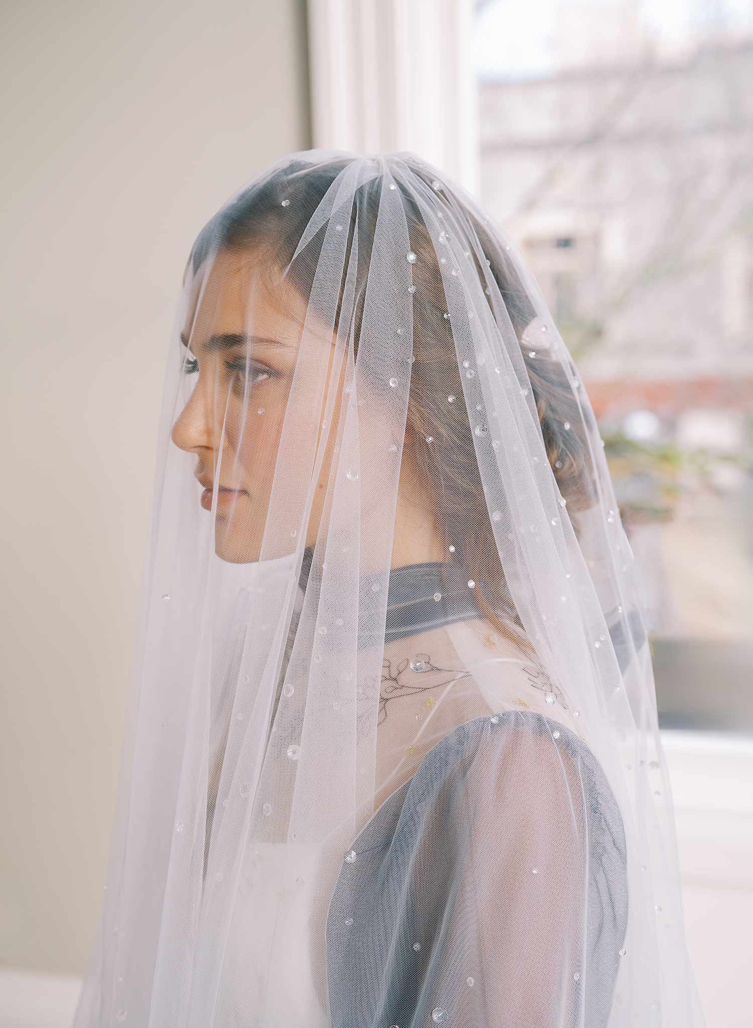 clear crystal raindrop tulle bridal veil with blusher, twigs and honey
