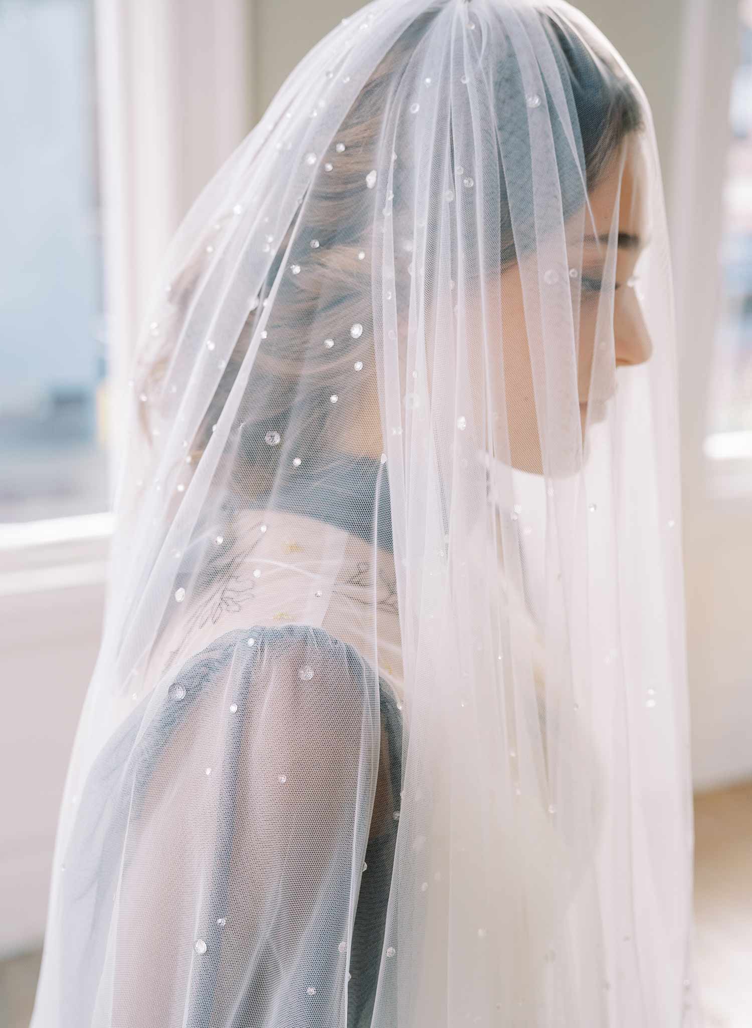 clear crystal raindrop tulle bridal veil with blusher, twigs and honey