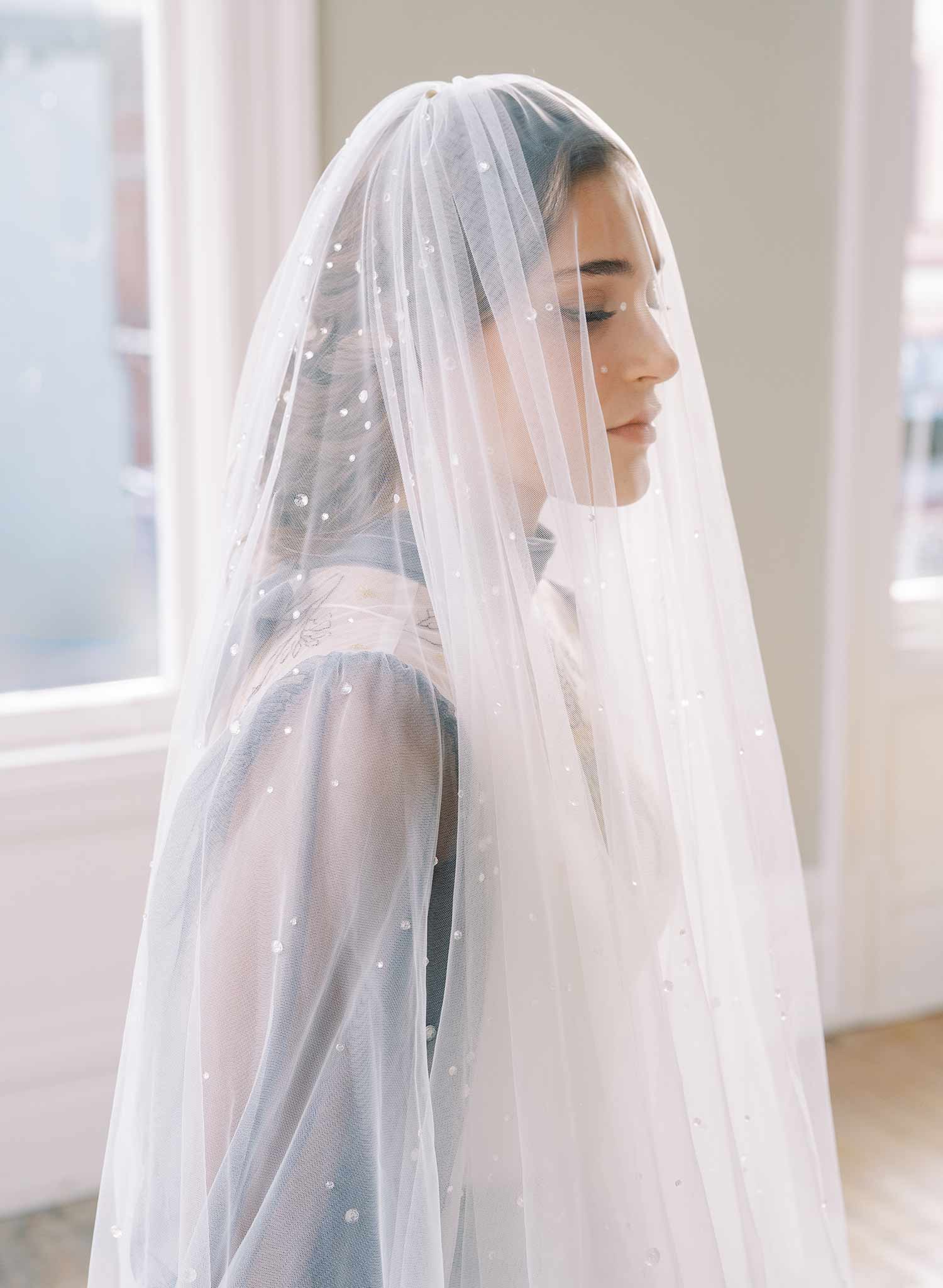 clear crystal raindrop tulle bridal veil with blusher, twigs and honey