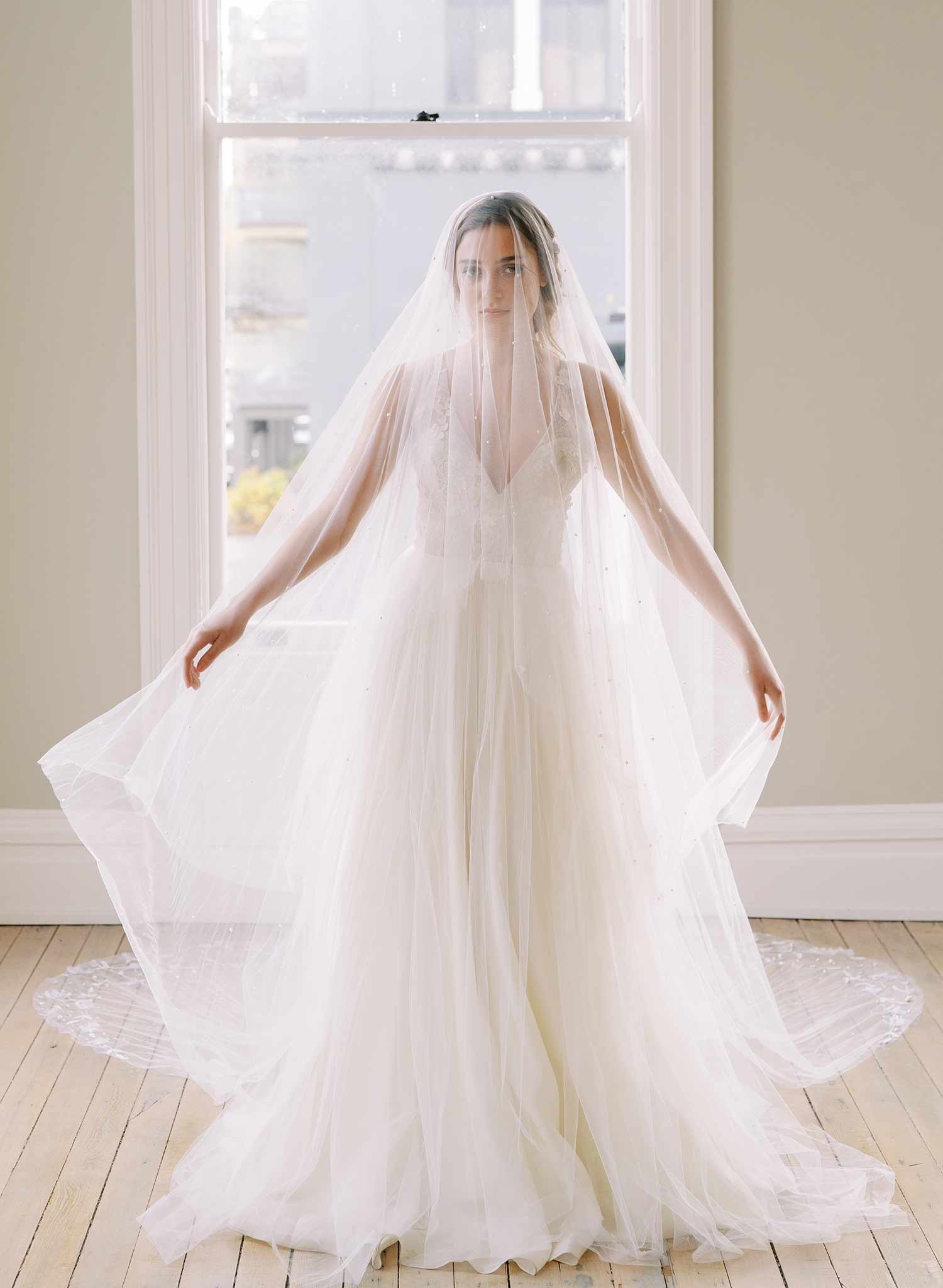 long lace trimmed embellished tulle bridal veil, twigs & honey