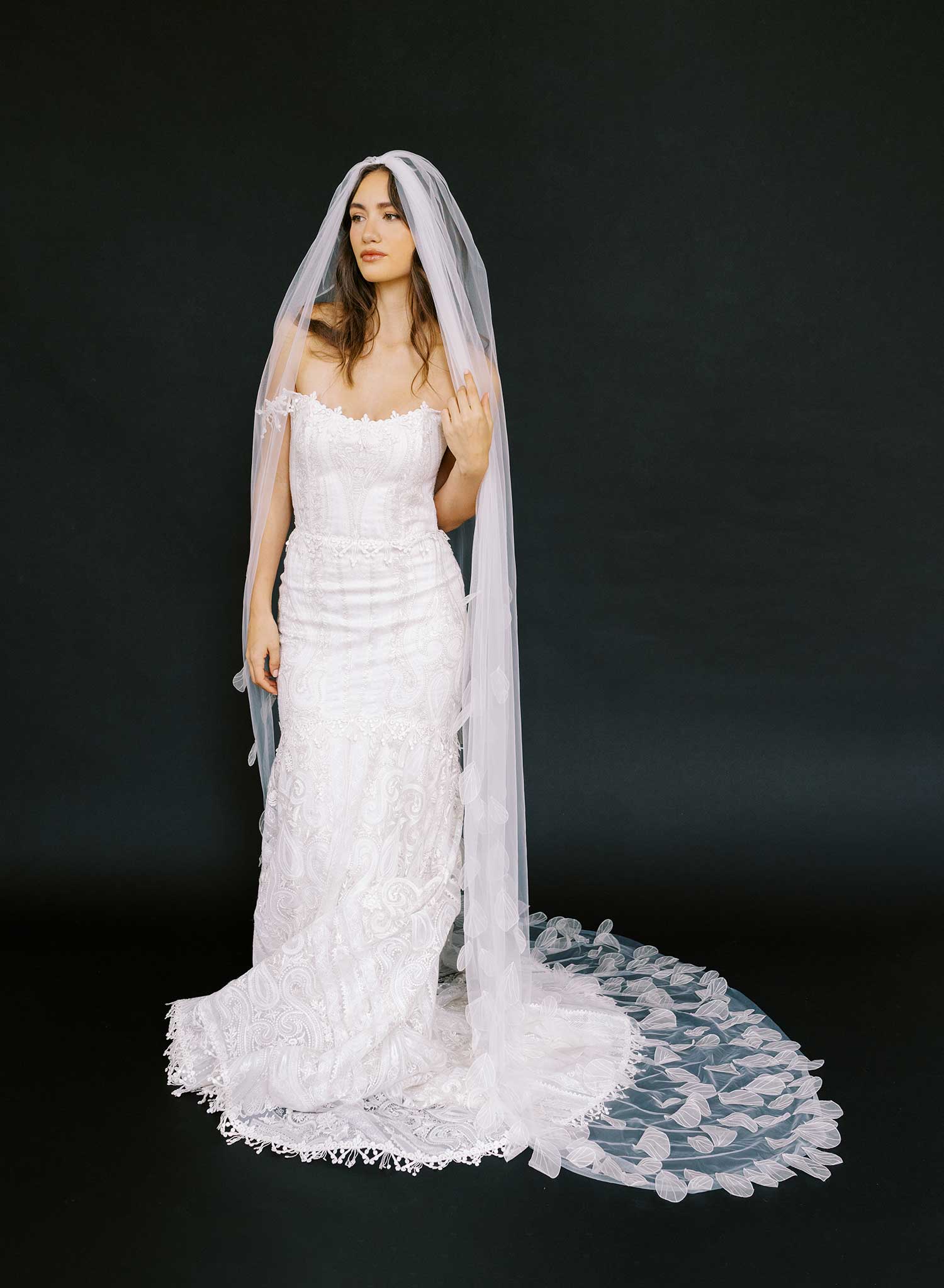 Dragonfly wings embroidered train veil - Style #2624