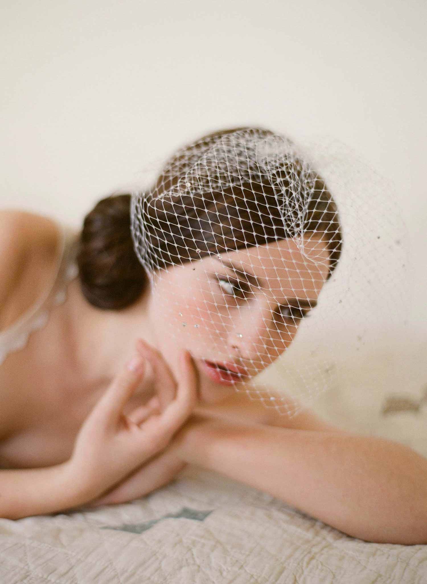 bridal birdcage veil with crystals by twigs & honey