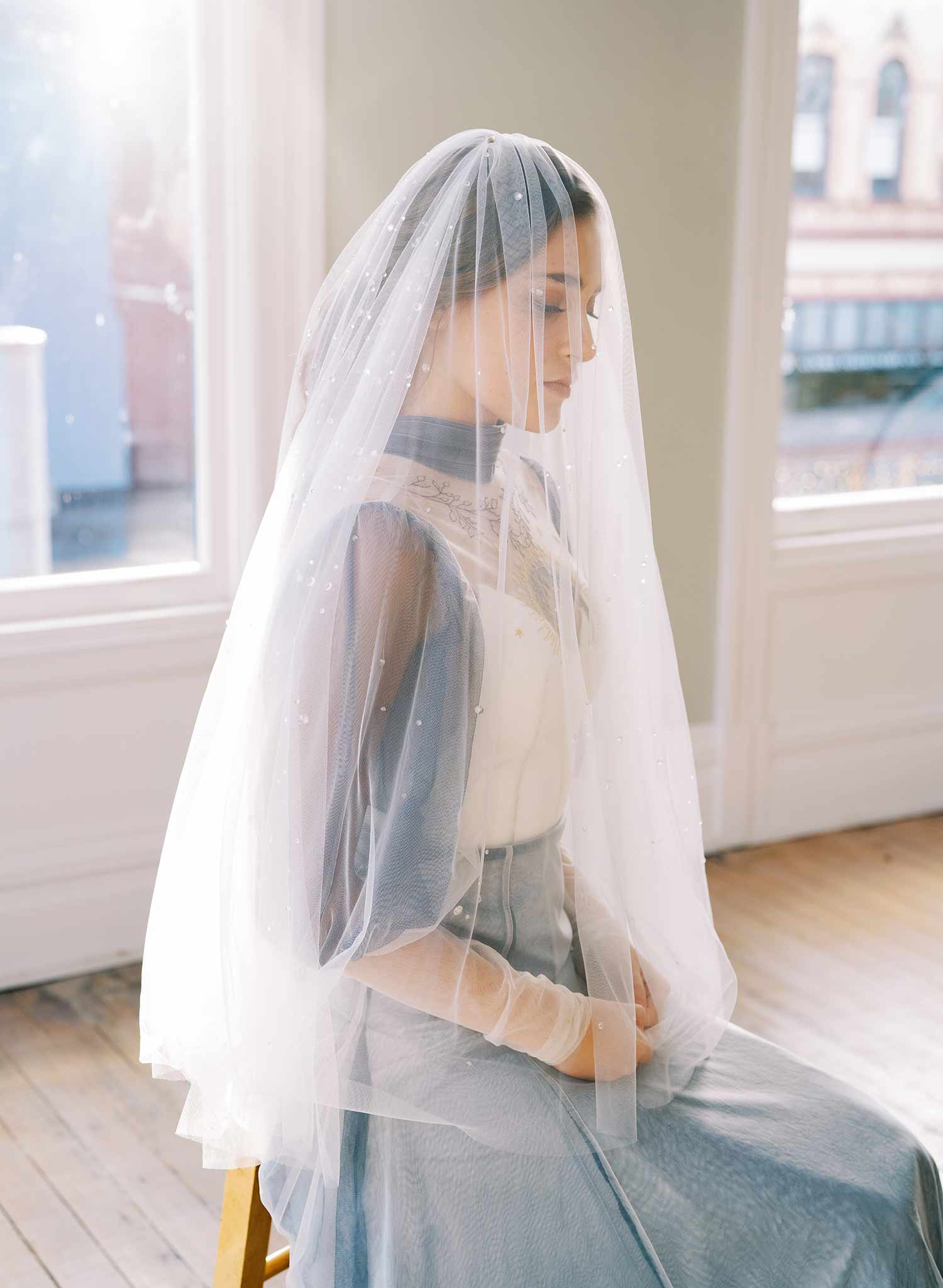 clear crystal raindrop tulle bridal veil with blusher, twigs and honey 