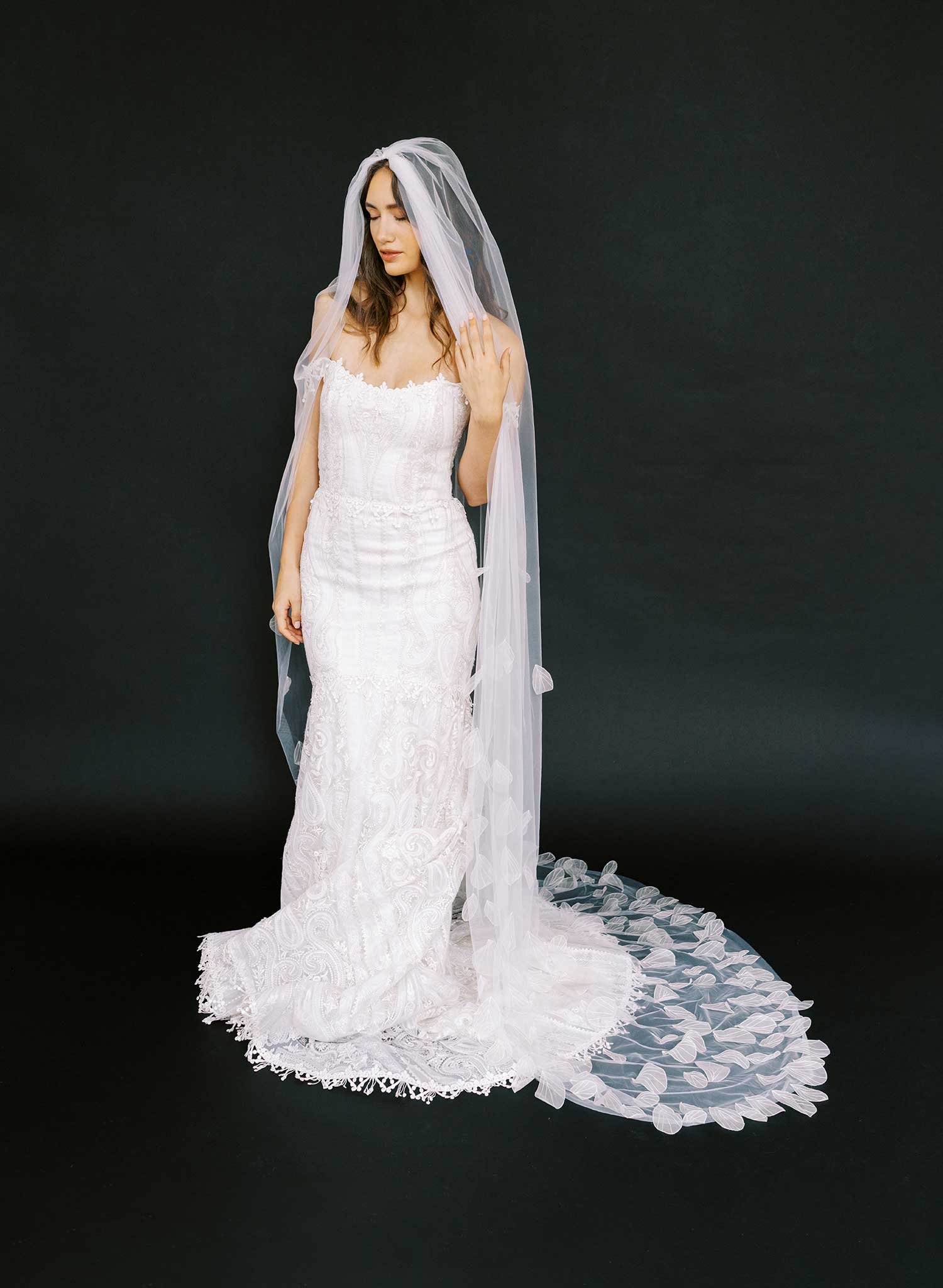 Dragonfly wings embroidered train veil - Style #2624