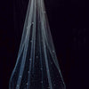 Hand embroidered crystal bridal train veil by twigs and honey