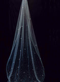 Hand embroidered crystal bridal train veil by twigs and honey
