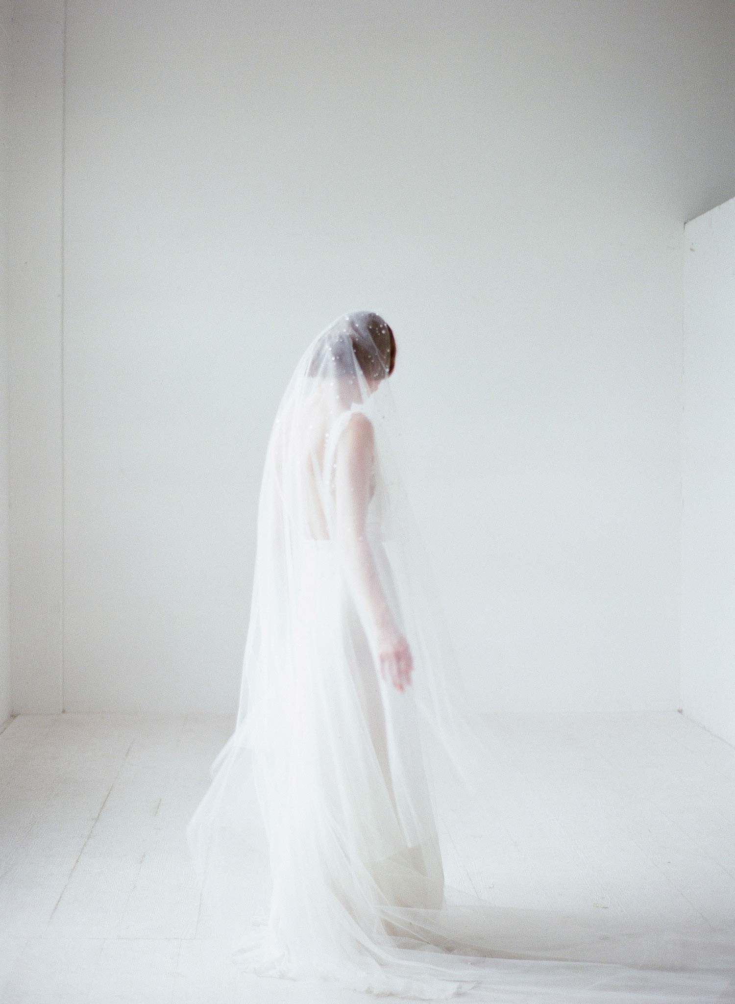 https://www.twigsandhoney.com/cdn/shop/products/712t_cathedral-bridal-veil-rhinestone-veil-with-blusher-wedding-veil_2048x2048.jpg?v=1483074210