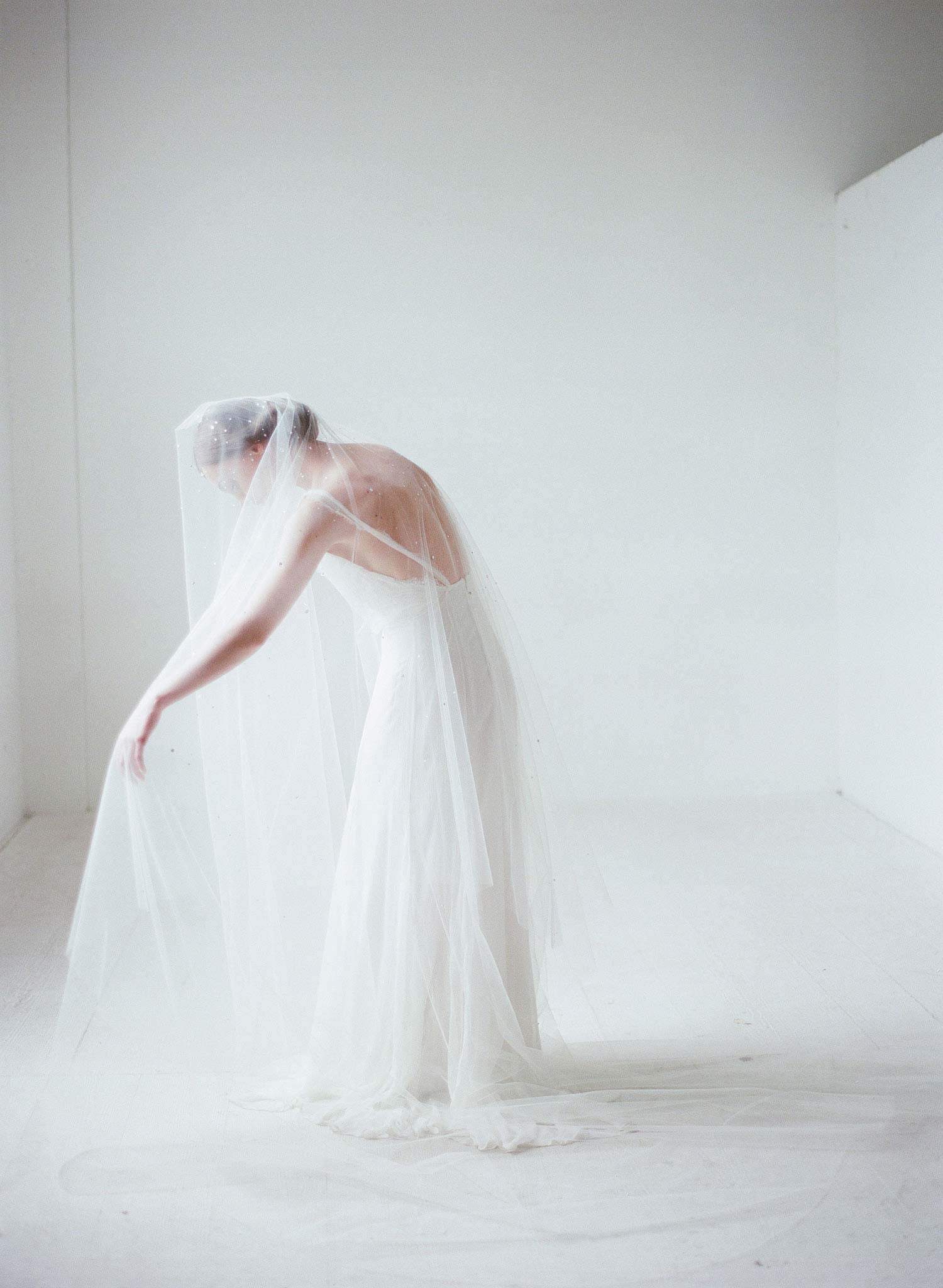 Twigs & Honey Bridal Crystal Veil, Weddings - Crystal Streamers Bridal Train Veil - Style #2068