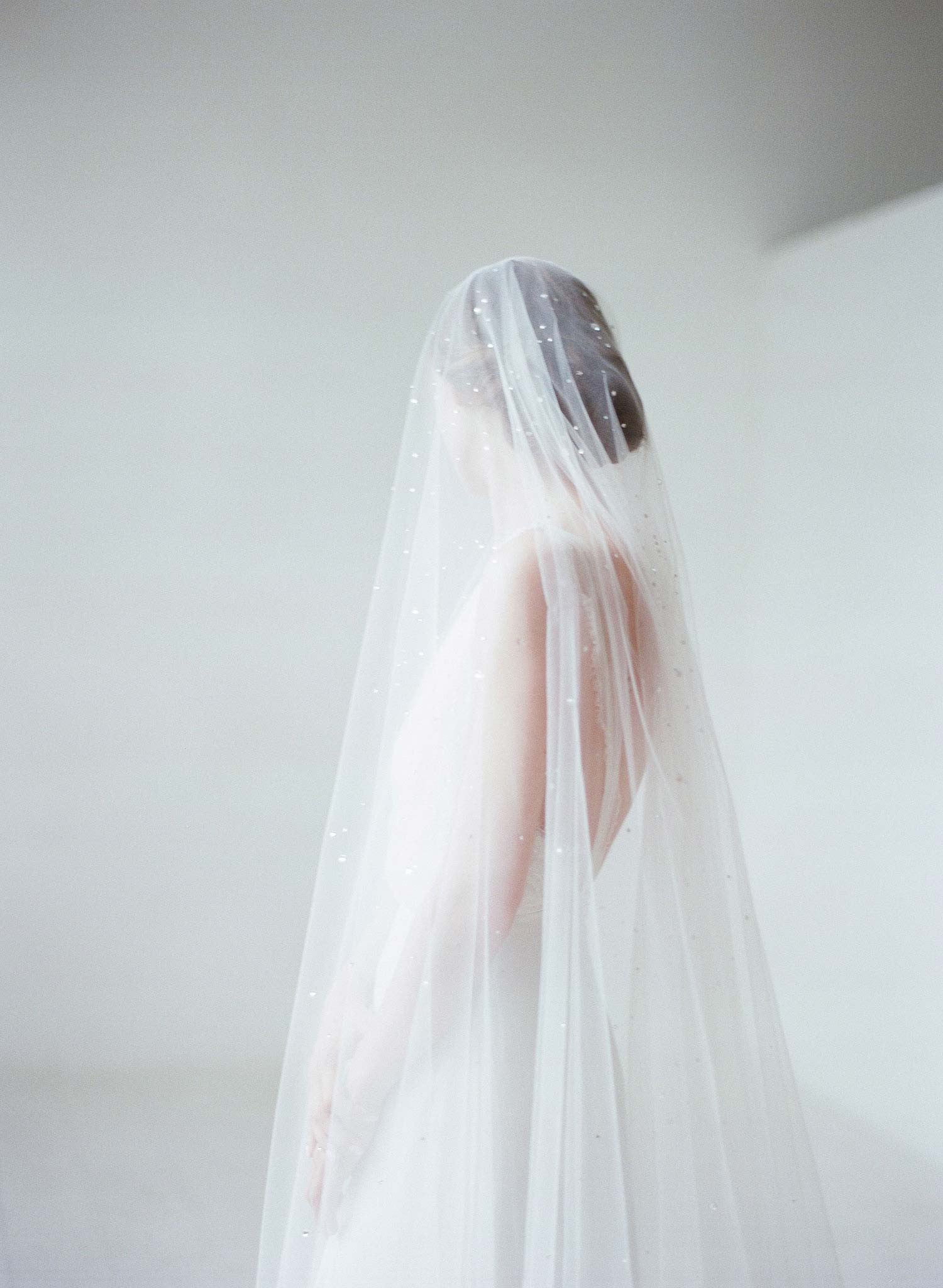 One of kind Wedding Veil, Beaded, Rhinestone and Crystal veil with ama –  Shaliz Bridal
