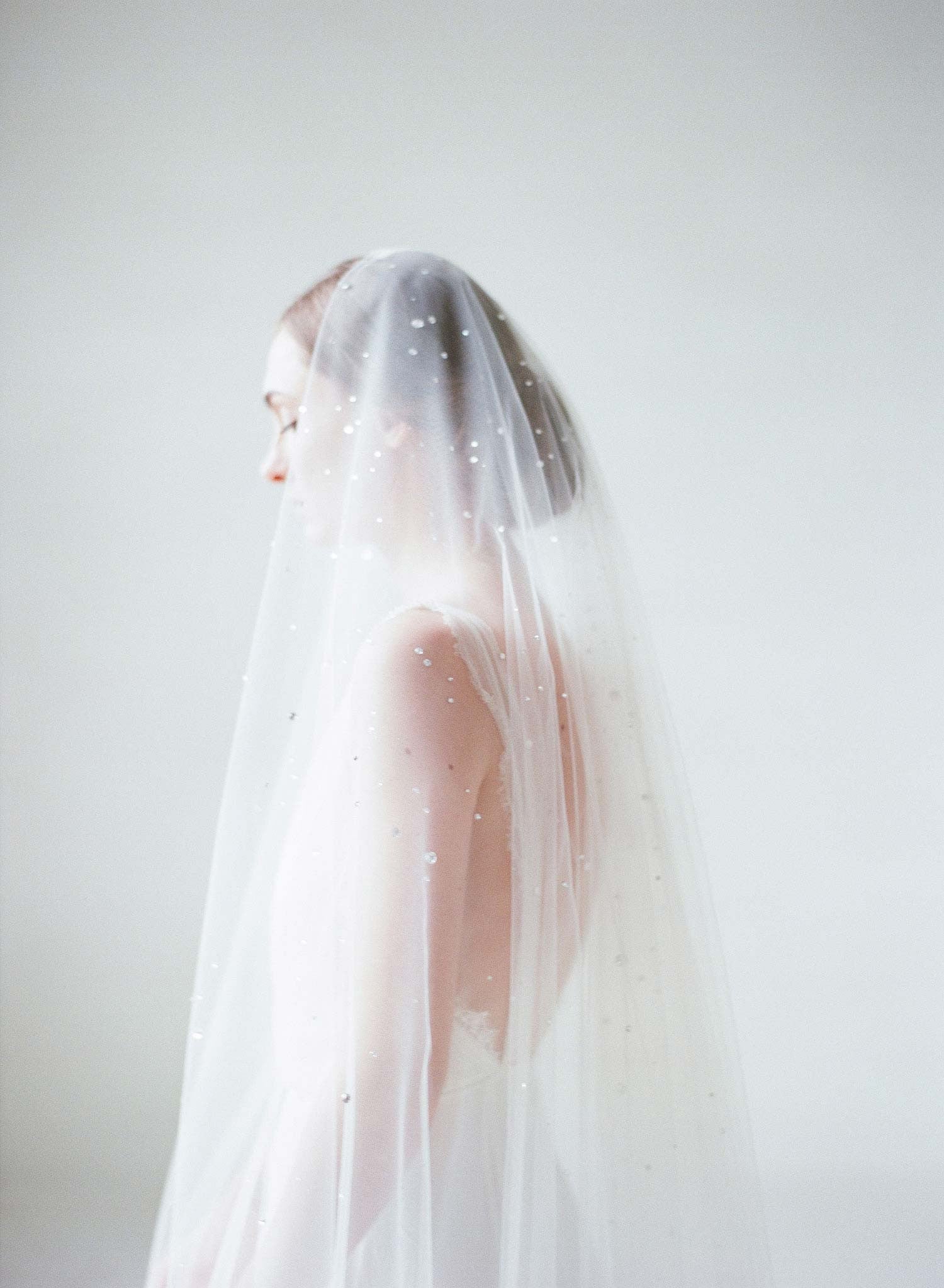One Blushing Bride Crystal Trimmed Cathedral Length Wedding Veil Nude