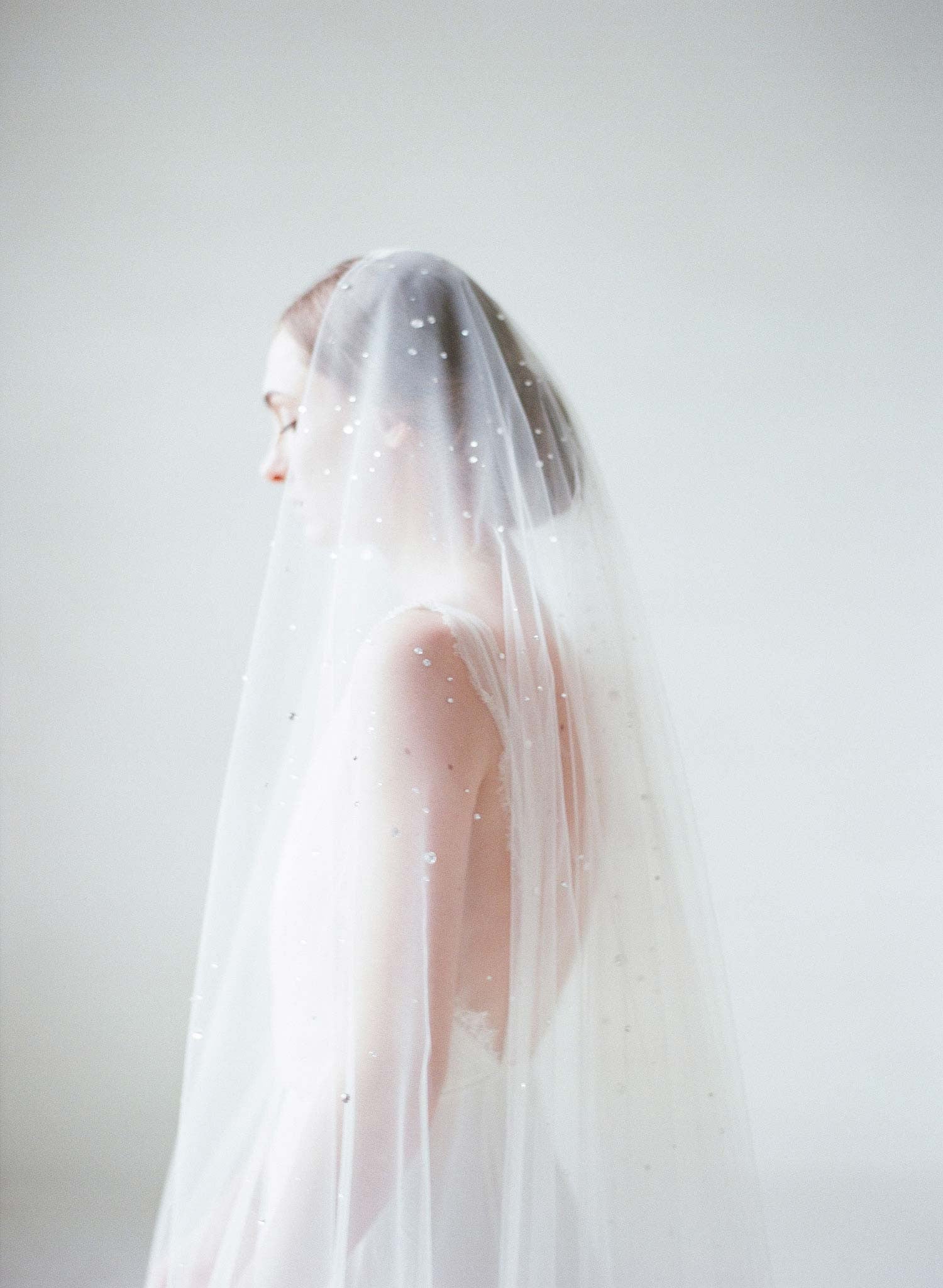 Ivory bridal shop veils with crystals