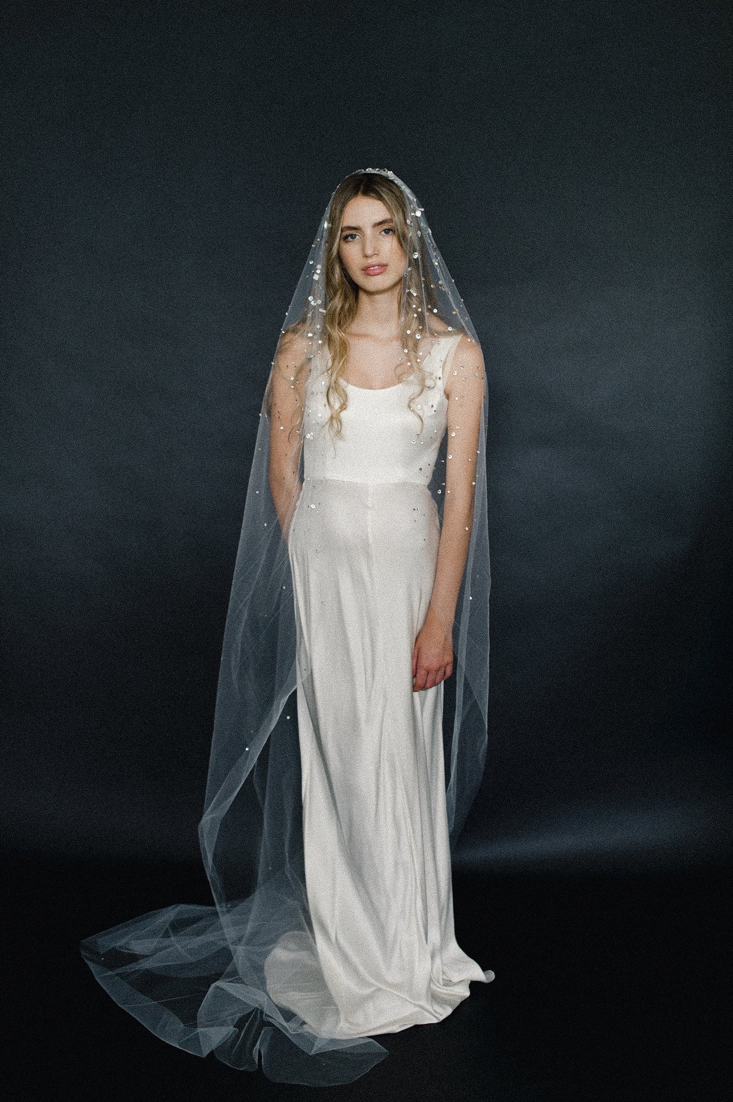 bridal train veil with crystals, wedding veil, twigs and honey, tulle