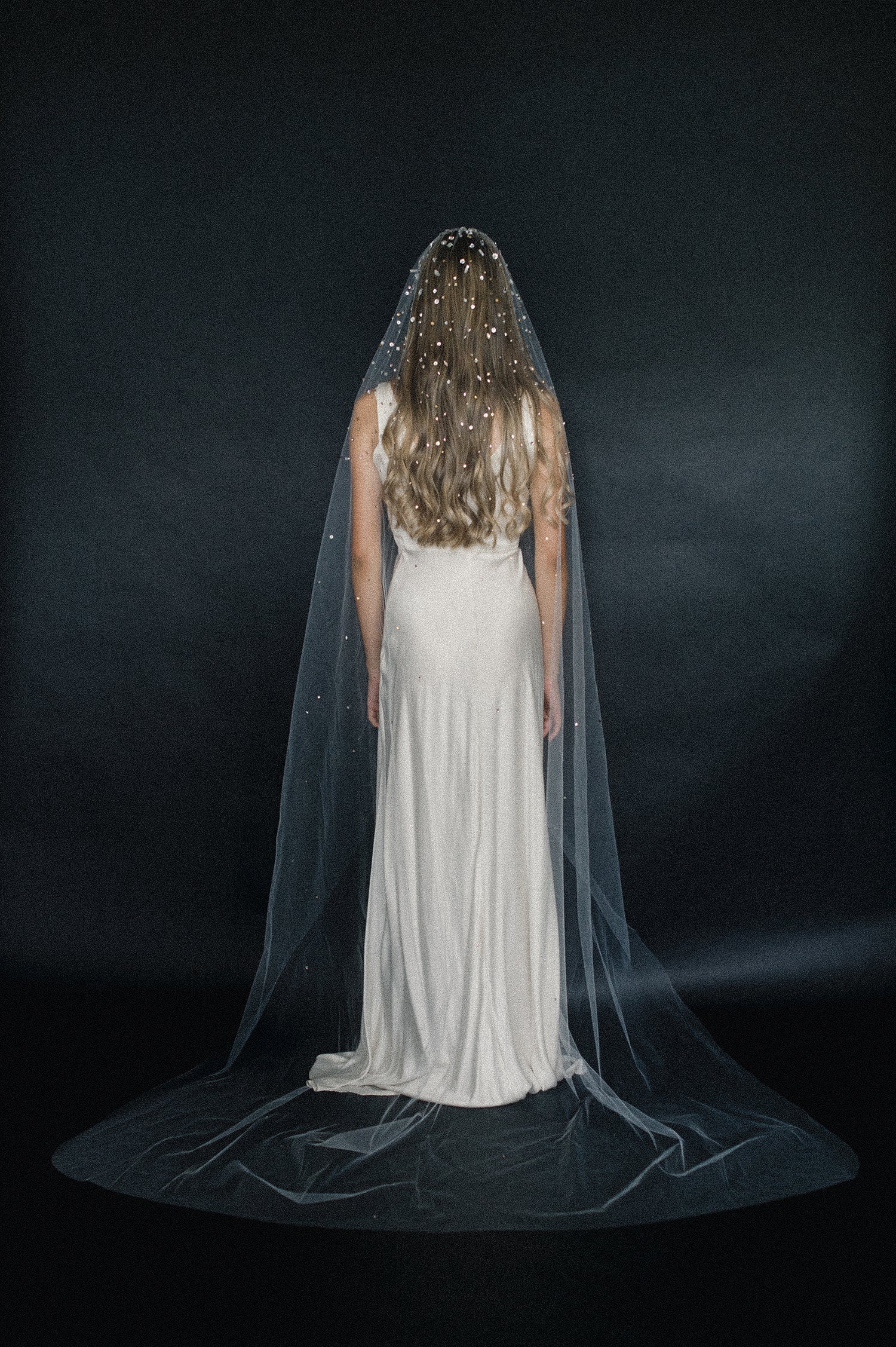 bridal train veil with crystals, wedding veil, twigs and honey, tulle