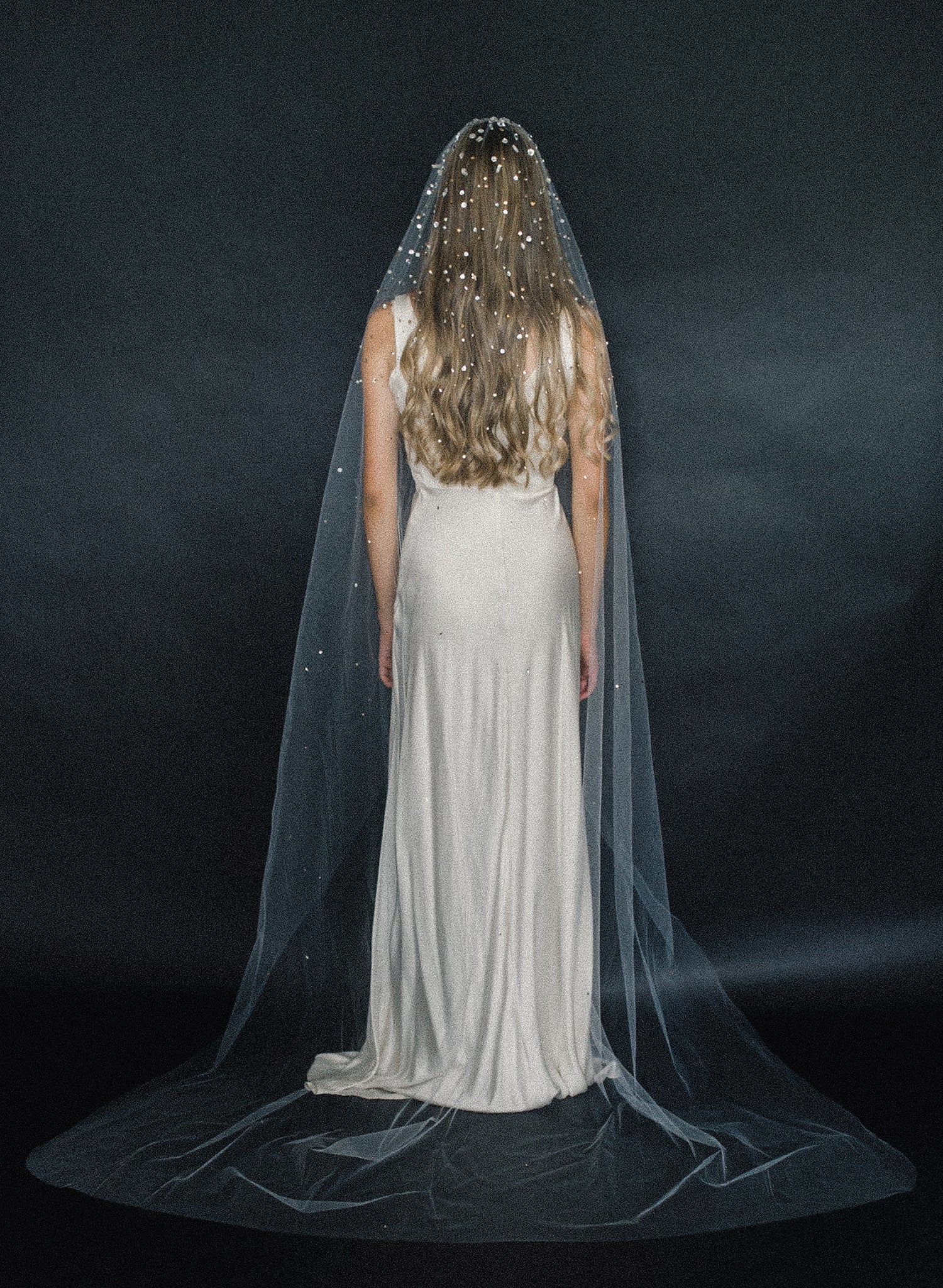 bridal train veil with crystals, wedding veil, twigs and honey, tulle