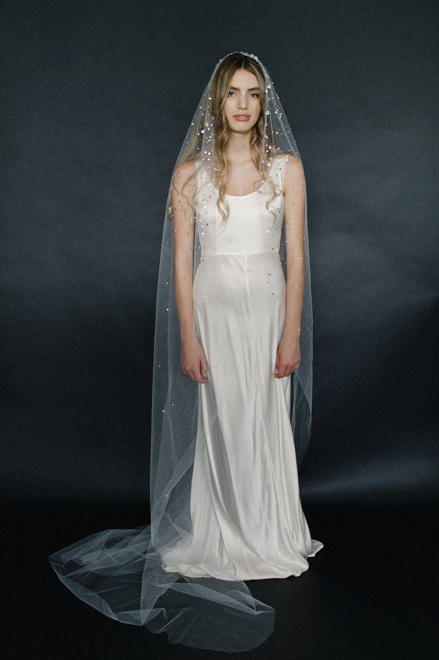 bridal train veil with crystals, wedding veil, twigs and honey, tulle